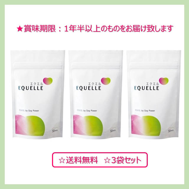 大塚製薬 エクエル パウチ 120粒30日分 ×3袋 大塚製薬 エクエル パウチ 120粒30日分 ×3袋