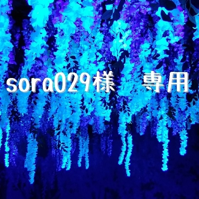 sora029様　専用購入ページ エンタメ/ホビーのアニメグッズ(カード)の商品写真