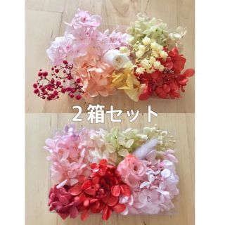 プリザーブドフラワー 花材　詰め合わせ　２箱セット　紫陽花(プリザーブドフラワー)