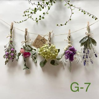 スワッグ ガーランド ドライフラワー 5束 ナチュラル(G-7)(ドライフラワー)