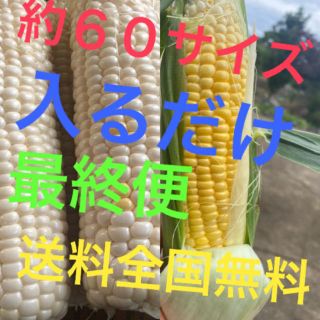 まなぶん様専用(野菜)