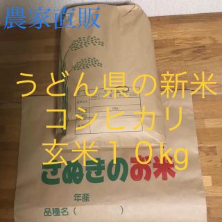 令和２年度  香川県産 コシヒカリ  玄米10キロ(米/穀物)