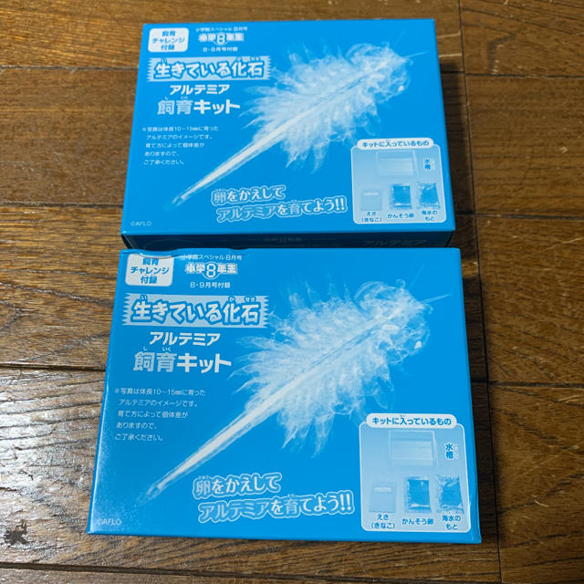 小学8年生 8・9月号付録 アルテミア 飼育キット 新品未開封 同じ物2個 エンタメ/ホビーのおもちゃ/ぬいぐるみ(その他)の商品写真