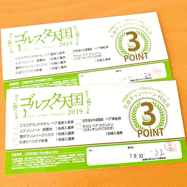 日本製 ルスツリゾート遊園地入場券×4枚 - 通販 - www.happyhead.in