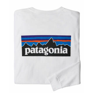 パタゴニア(patagonia)のpatagonia トレーナー (ホワイト) 男女兼用(トレーナー/スウェット)