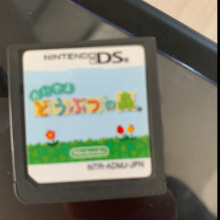 ニンテンドウ(任天堂)のおいでよどうぶつの森　DS ソフトのみ(携帯用ゲームソフト)