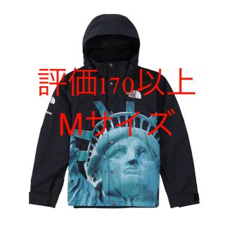 シュプリーム(Supreme)のSupreme TNF 女神マウンテンジャケットM(マウンテンパーカー)