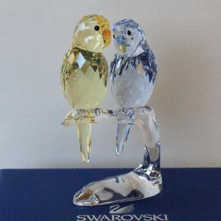 スワロフスキー(SWAROVSKI)のSWAROVSKI スワロフスキー　☆美品☆ セキセイインコ　クリスタル　置物(置物)