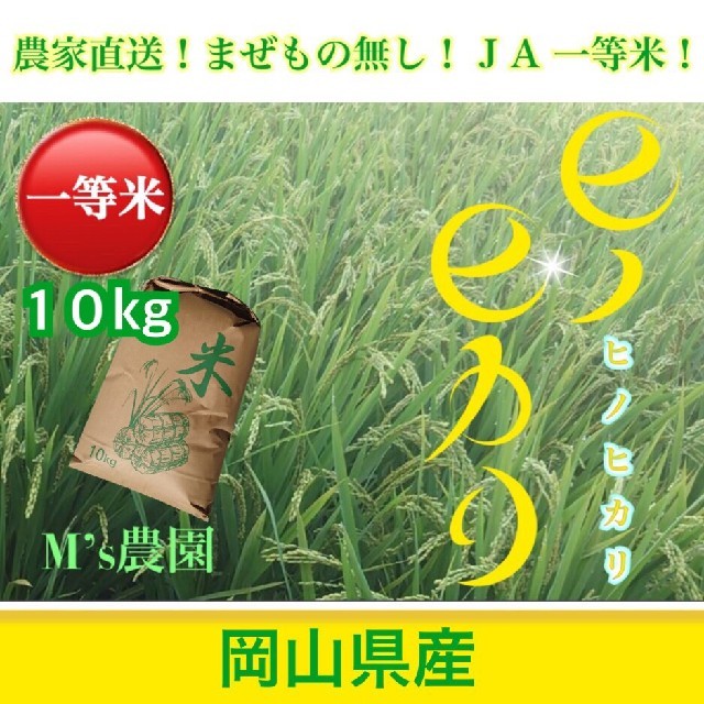 ヒノヒカリ　JA一等米　農家直送　10㎏　岡山県産　残りわずか！　米/穀物