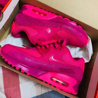 ナイキ(NIKE)のNIKE AIR MAX 90 PREMIUM スニーカー 美品(スニーカー)