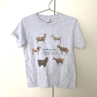 fig London 羊牧場Tシャツ グレー