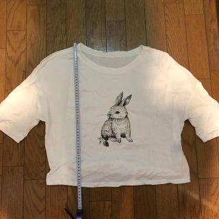 フランシュリッペ(franche lippee)のフランシュリッペ　うさぎ　Tシャツ(Tシャツ(半袖/袖なし))