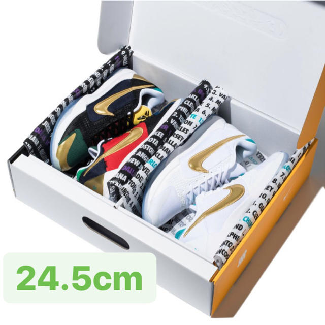 NIKE KOBE V PROTRO UNDFTD-PACK