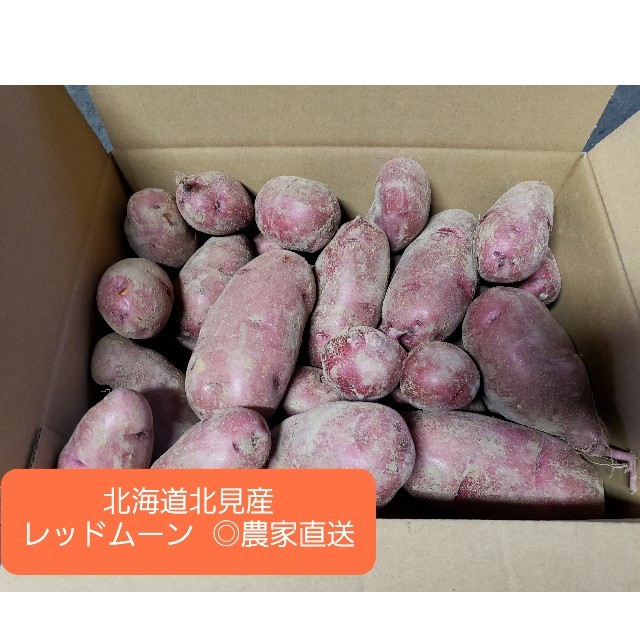 北海道 北見産 じゃがいも レッドムーン 4kg 食品/飲料/酒の食品(野菜)の商品写真