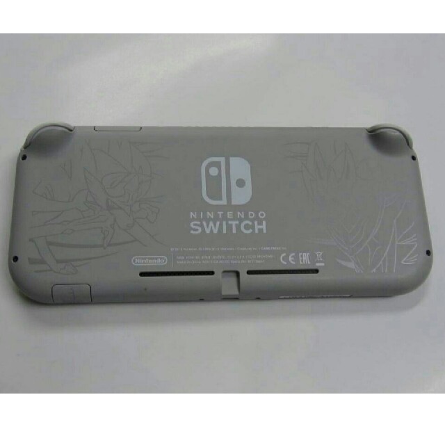 Nintendo Switch Lite 本体とオマケ