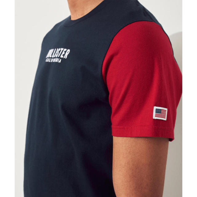 Hollister(ホリスター)の新品★ ホリスター HOLLISTER 半袖 Tシャツ 刺繍ロゴ メンズのトップス(Tシャツ/カットソー(半袖/袖なし))の商品写真