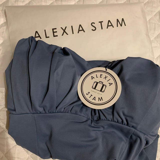 ALEXIA STAM(アリシアスタン)のアリシアスタン  水着　ワンピース　完売品　Mサイズ　 レディースの水着/浴衣(水着)の商品写真