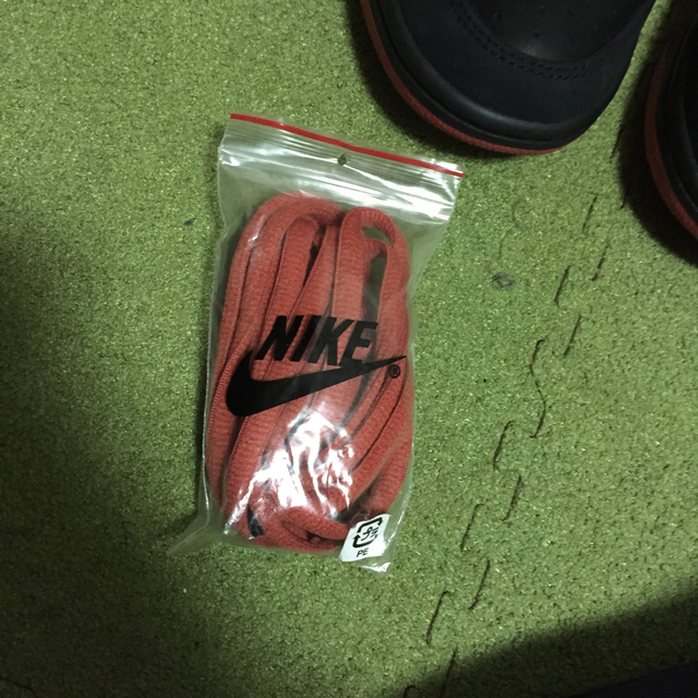 NIKE(ナイキ)のnike dunk sb low   メンズの靴/シューズ(スニーカー)の商品写真