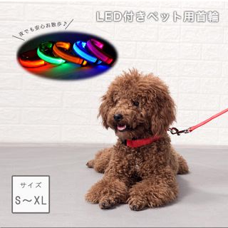 光る首輪　大型犬　中型犬　小型犬　LED(リード/首輪)