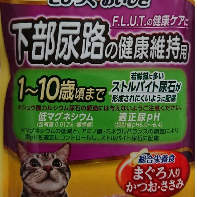 Unicharm(ユニチャーム)のドルチェ💋様専用♥ねこ元気 パウチ 238個 その他のペット用品(猫)の商品写真