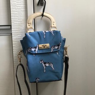 レスポートサック(LeSportsac)の値下↓  レスポートサック　風間ゆみえ　未使用(ショルダーバッグ)