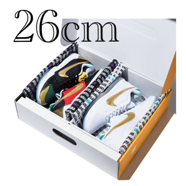 NIKE KOBE V PROTRO UNDFTD-PACK 新品　26cm