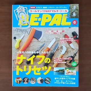 ショウガクカン(小学館)のBE－PAL (ビーパル) 2020年 06月号(趣味/スポーツ)