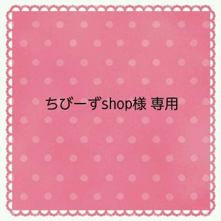 セシルマクビー(CECIL McBEE)のちびーずshop様 専用♡(ショップ袋)