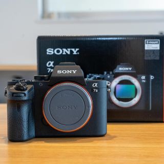 ソニー(SONY)のSONY α7Ⅱ (ILCE 7M2) ボディ おまけあり！ 昨年7月購入！(ミラーレス一眼)