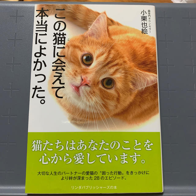 この猫に会えて本当によかった。 エンタメ/ホビーの本(住まい/暮らし/子育て)の商品写真