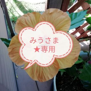 みうさま★専用グラント☆イーONE'S　LaLaドール95ブルームーン(エクササイズ用品)