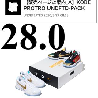 アンディフィーテッド(UNDEFEATED)のNike Kobe V UNDEFEATED WHAT IF PACK  28(スニーカー)