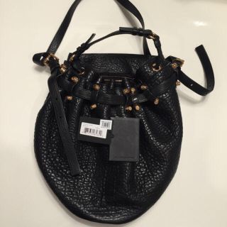 アレキサンダーワン(Alexander Wang)のサンダーワンバッグ❤︎ローズゴールド❤︎(ショルダーバッグ)