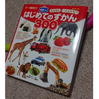 コウダンシャ(講談社)の 0～4歳向け はじめてのずかん300 英語つき(絵本/児童書)