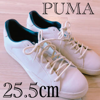 プーマ(PUMA)のPUMA スニーカー 白 25.5㎝ 新品(スニーカー)