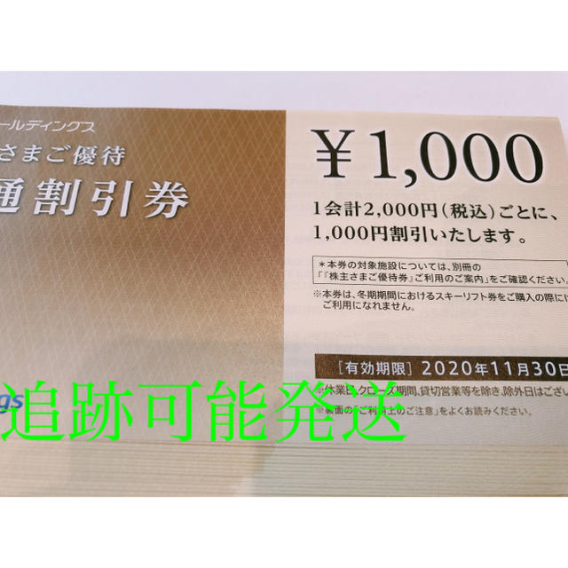 西武ホールディングス 株主優待 共通割引券 30枚 送料込 67.0%OFF