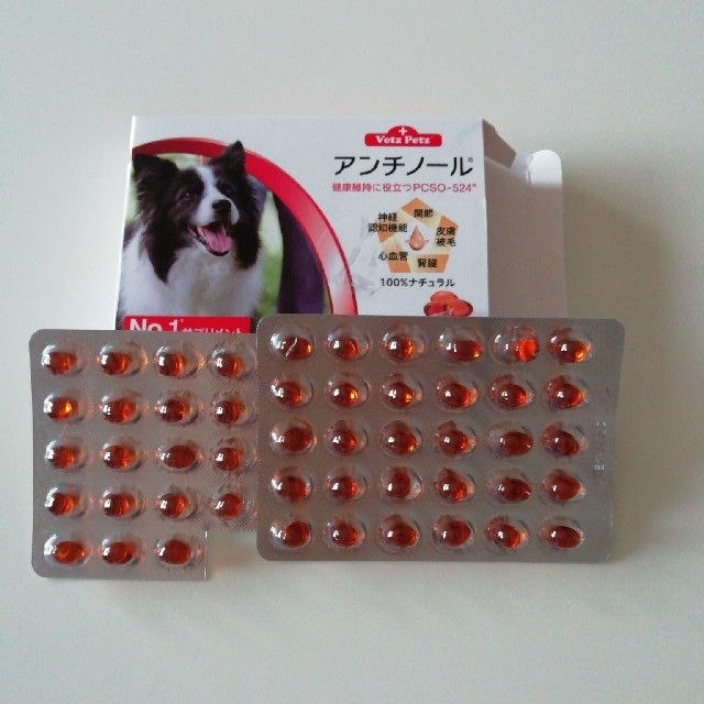 アンチノール犬用　49粒　サプリメント その他のペット用品(犬)の商品写真