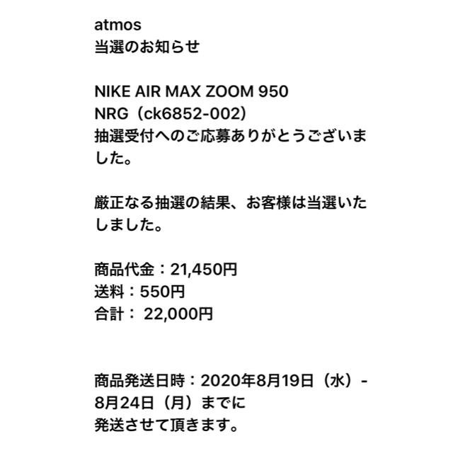 NIKE(ナイキ)の新品未使用　最安値　NIKE　AIRMAX　ZOOM　950 メンズの靴/シューズ(スニーカー)の商品写真