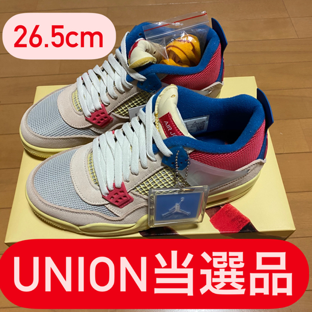 UNION AIRJORDAN4 RETRO SP GUAVA ICE 26.5