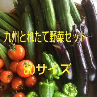 九州とれたて野菜セット80サイズ(野菜)