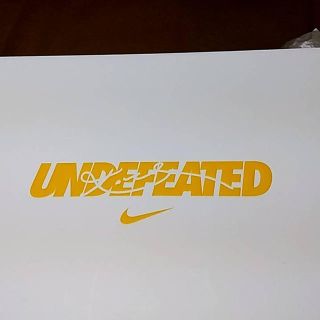 アンディフィーテッド(UNDEFEATED)のKobe 5 undefeated What if pack,27。(スニーカー)