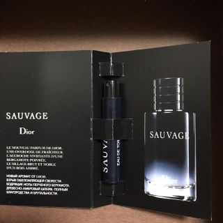 クリスチャンディオール(Christian Dior)のディオールオム ソヴァージュ(香水(男性用))