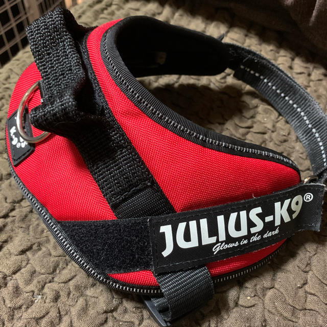 JULIUS(ユリウス)のN’’様専用　　Julius-K9 ユリウス　k9 ハーネス　サイズmini その他のペット用品(犬)の商品写真