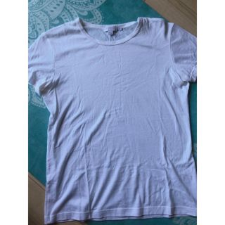 サンスペル(SUNSPEL)のSUNSPEL オーガニックコットン　Tシャツ　Sサイズ(Tシャツ(半袖/袖なし))