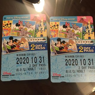 ディズニー(Disney)のディズニーリゾートライン　2dayパス(遊園地/テーマパーク)