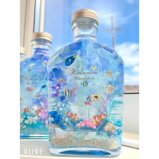 熱帯魚 ハーバリウム(プリザーブドフラワー)