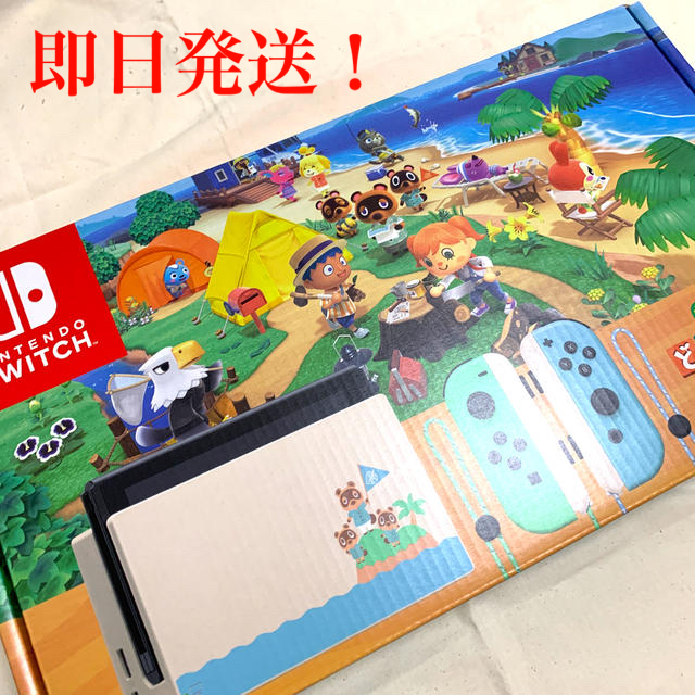 ゲームソフトゲーム機本体Nintendo Switch あつまれ どうぶつの森セット/Switch/HA