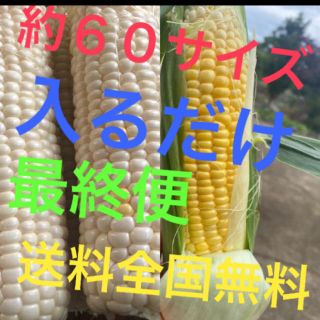 チャコ様専用(野菜)