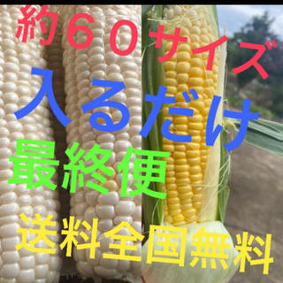 チャコ様専用(野菜)