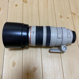 キヤノン(Canon)の望遠ズームレンズ　EF100-400 F4.5-5.6L IS USM(レンズ(ズーム))